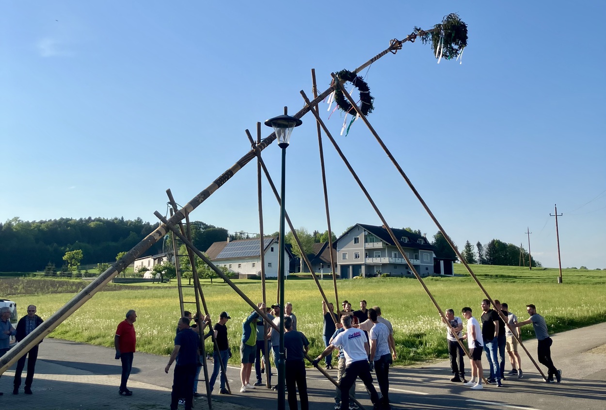 Maibaum Schnitzen & Aufstellen 2025